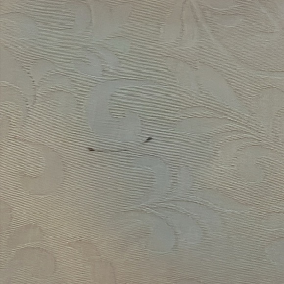 Bella Notte Pale Yellow Velvet Trim Pillow Shams - Picture 9 of 13